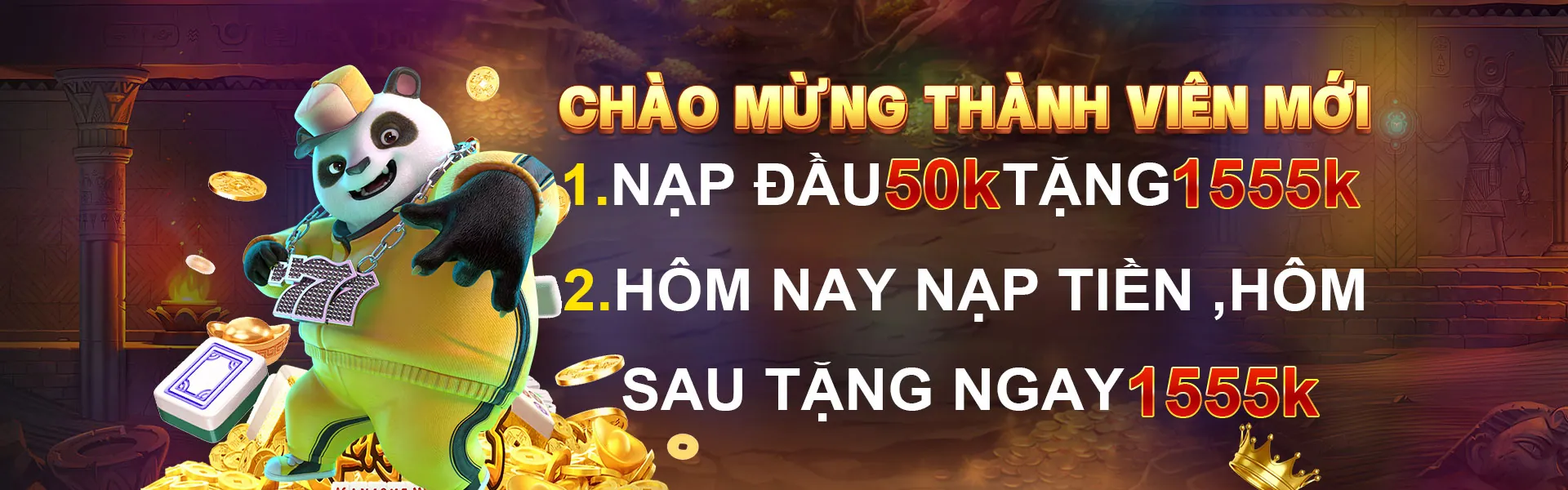 Tổ chức hỗ trợ và nguồn lực bên ngoài
